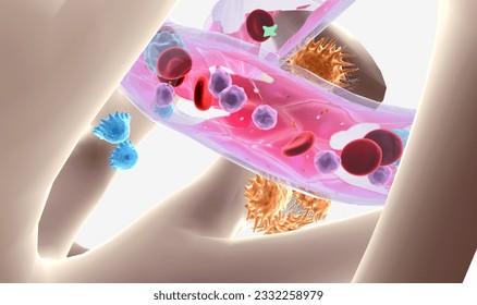The Multiple Myeloma Cellular Level 3D rendering