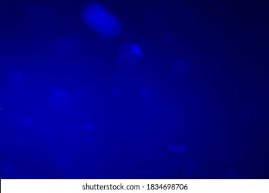Multiple round bokeh on background for graphics