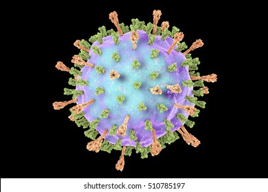 Mumps Virus. 3D Illustration Showing Structure Of Mumps Virus With Surface Glycoprotein Spikes Heamagglutinin-neuraminidase And Fusion Protein