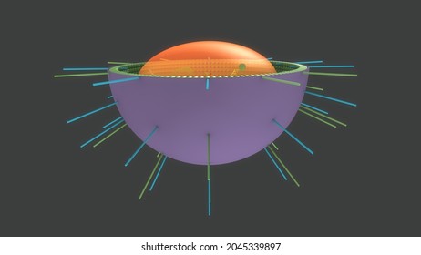 Mumps Virus Cell Structure.3d Illustration