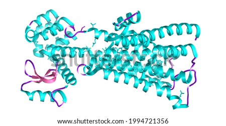 Muscarinic receptor M1 3D illustration. Receptor acetylcholine protein. Stock photo © 