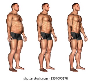 endomorph body transformation