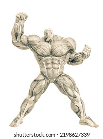 Muscle Maps Of A Strong Man Doing A Super Power Pose. This Guy In Clipping Path Is Very Useful For Graphic Design Creations, 3d Illustration