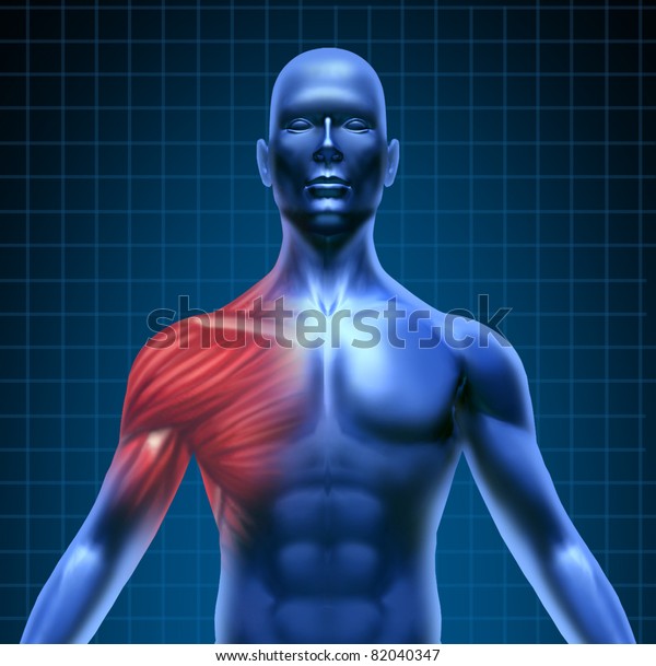 赤い肩の解剖学が強調され 皮膚の下の医療構造が示された 青い人間のコンセプトに代表される筋肉痛 のイラスト素材