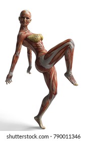 muscle woman dance 3d illustration