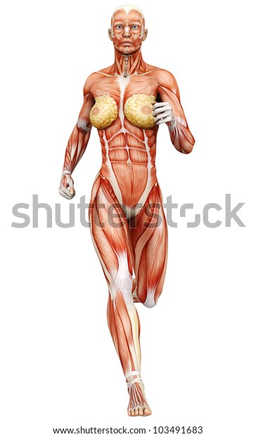 走る筋肉女性 のイラスト素材