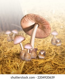 Mushroom, 3d Illustration, 3d Rendering, Realism, Photo Realistic