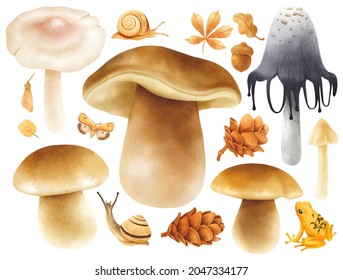 Mushroom and autumn elements