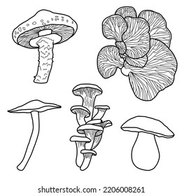 4,601 Mushroom ink fungus Images, Stock Photos & Vectors | Shutterstock