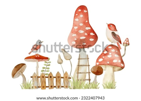 Mushrooms fairytale watercolor painting for postcard decoration. Cartoon fly agaric amanita and chanterelle with birds aquarelle drawing
