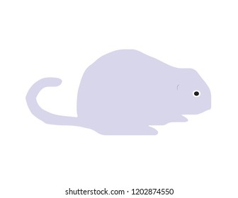 Muskrat In Baby Blue Art