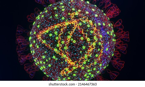 Mutated Omicron SARS-CoV-2 Virus. Electron Microscope Transparent Enlargement Size Computer Model With RNA And N-protein Visible. 3D Rendering.