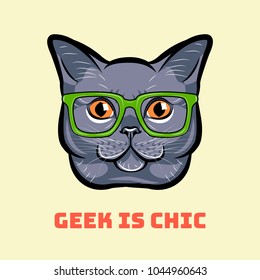 Muzzle of gray cat wearing in glasses. Cat geek. Geek is chic.  illustration.