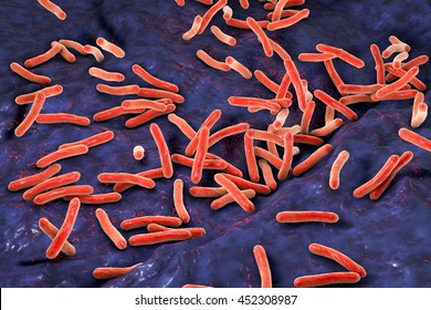 Mycobacterium Tuberculosis Bacteria Inside Human Body, Close-up View. 3D Illustration