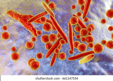 Mycoplasma bacteria, 3D illustration showing small polymorphic bacteria which cause pneumonia, genital and urinary infections