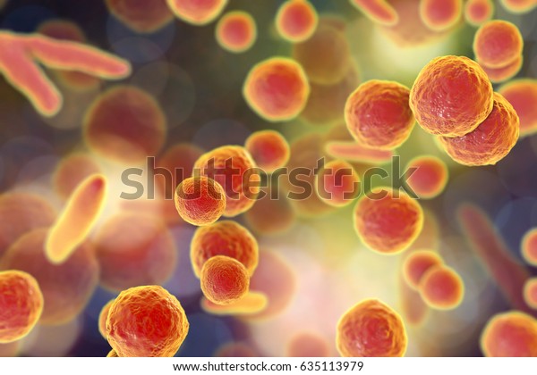 Mycoplasma bacteria, 3D illustration showing\
small polymorphic bacteria which cause pneumonia, genital and\
urinary\
infections