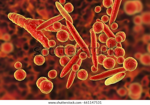 Mycoplasma bacteria, 3D illustration showing\
small polymorphic bacteria which cause pneumonia, genital and\
urinary\
infections
