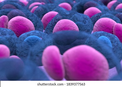 Myeloma Multiplex Leukemia Cancer 3d Color Render Illustration Closeup