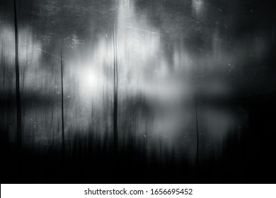 Mysterious Landscape, Scary Trees, Gothic Wallpaper