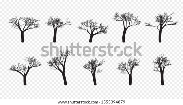 Naked Trees Silhouettes Set Hand Drawn Stock Illustration 1555394879