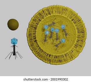 Nano Encapsulation Of Bacteriophage For Phage Therapy 3d Rendering 