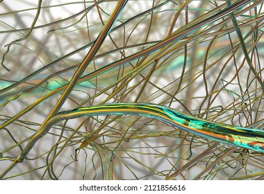 6 Electrospun Nanofiber Images, Stock Photos & Vectors 