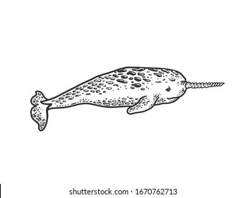 Featured image of post The Best 30 Realistic Sketches Realistic Narwhal Drawing