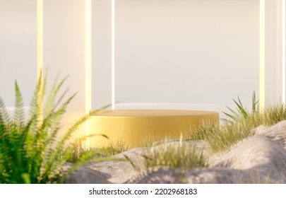 Natural Beauty Podium Backdrop For Product Display With Summer Fern Garden Scene. 3d Rendering.