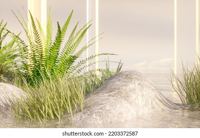 Natural beauty podium backdrop for product display and Summer fern garden scene  3d rendering 