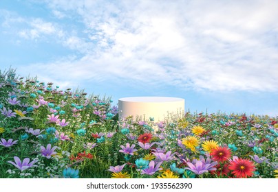 Natural beauty podium backdrop and spring flower field scene  3d rendering  