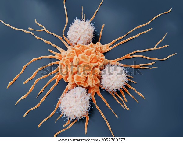 Natural\
killer attacking a cancer cell. They  are lymphocytes that target\
virus infected cells and tumor  cells without deliberate\
immunization or activation. 3d\
illustration