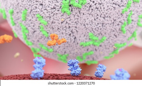 Natural Killer Cell Over A Cancer Cell