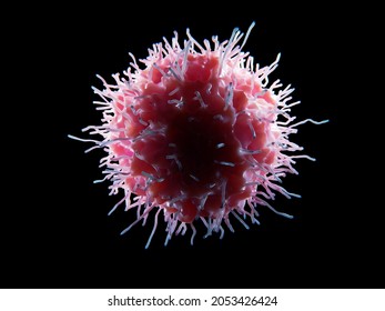 Natural killer cell. They provide rapid responses to virus infected cells and tumor cells. They act at  around 3 days  after infection. 3d illustration