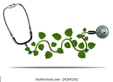 Natural Medicine And Alternative Therapy Concept As A Doctor Stethoscope With Plant Leaves Growing On The Medical Equipment As A Symbol For Green Health.