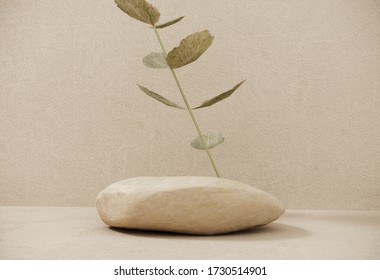 Natural premium podium made of paper on pastel background with plant branches,leaves,pebbles and stones.Mock up for the exhibitions,presentation of products, therapy, relaxation and health -3d render. - Powered by Shutterstock