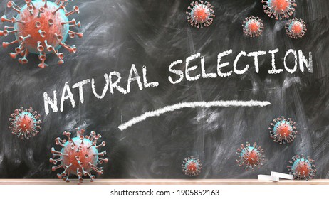 natural selection clipart