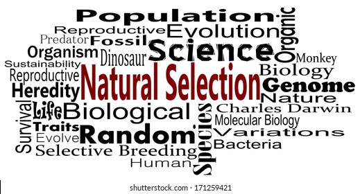 Natural Selection Word Cloud