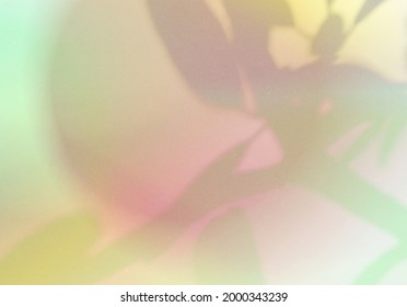 Natural shadow overlay on abstract gradient colorful background with grainy texture, for product design and social media 