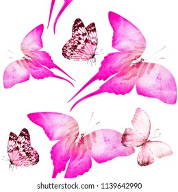 Pink Butterfly Images, Stock Photos & Vectors | Shutterstock