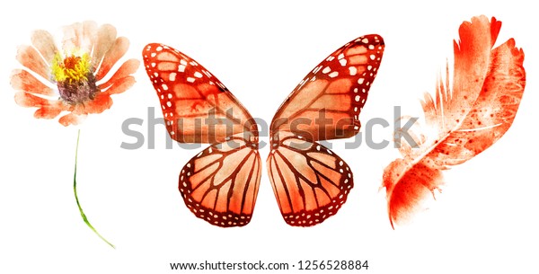 Natural Watercolor Set Isolated On White Stock Illustration 1256528884