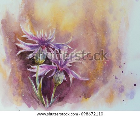 Nature background with delicate conflowers.Picture created with watercolors.