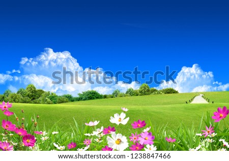 Similar – Image, Stock Photo girl walking in a field with yellow flowers one day