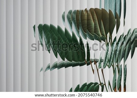 Nature background with leaf behind patterned glass