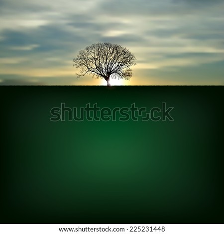 Similar – Foto Bild Wintersonne Baum Herbst