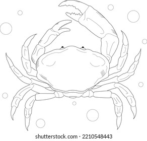 Nature Crab Air Bubble Art Design Tattoo Sea Animals Sea Animal