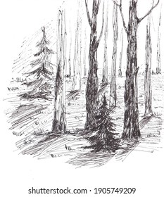 It's a nature illustration: pen-drawn forest. This picture for books and postcards, ornaments, prints, notebooks, stickers and other items.