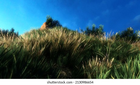 Nature Vast Grassland Under Sunlight 3D Rendering