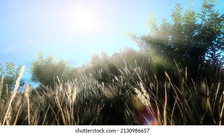 Nature Vast Grassland Under Sunlight 3D Rendering