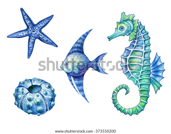白い背景に海の生物 魚 シーホース ウニ ヒトデの水彩イラスト のイラスト素材