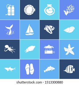 Nautical Icon Set And Conch With Oxygen Balloons, Whale Tail And Shark. Air Tank Related Nautical Icon For Web UI Logo Design.